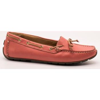 Schuhe Damen Derby-Schuhe & Richelieu Clarks  Rosa