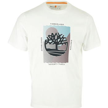 Kleidung Herren T-Shirts Timberland Graphic Branded Tee Weiss