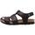 Schuhe Herren Sandalen / Sandaletten Panama Jack Stanley C1 Braun