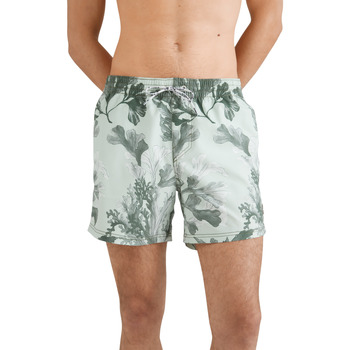 Kleidung Herren Shorts / Bermudas O'neill Short de bain  Origin Oyster Grün