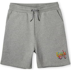 Kleidung Jungen Shorts / Bermudas O'neill Short enfant  Surf Dude Grau