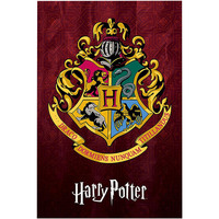 Home Plakate / Posters Harry Potter TA4109 Multicolor