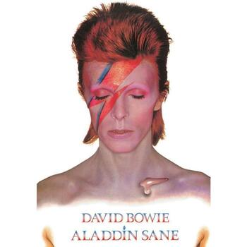 Home Plakate / Posters David Bowie TA8336 Multicolor