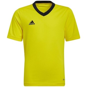 Kleidung Herren T-Shirts adidas Originals Entrada 22 Gelb