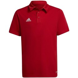 Kleidung Herren T-Shirts adidas Originals Entrada 22 Rot