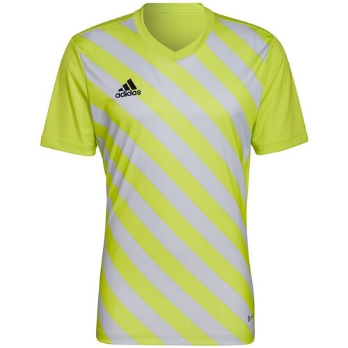 Kleidung Herren T-Shirts adidas Originals Entrada 22 Gelb, Grau