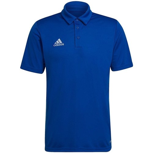 Kleidung Herren T-Shirts adidas Originals Entrada 22 Blau