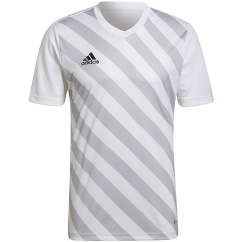 Kleidung Herren T-Shirts adidas Originals Entrada 22 Weiß, Grau