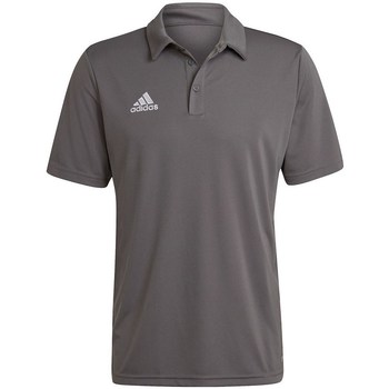 Kleidung Herren T-Shirts adidas Originals Entrada 22 Grau