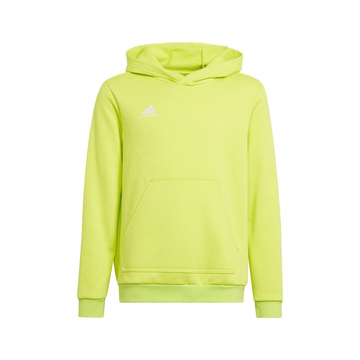 Kleidung Jungen Sweatshirts adidas Originals Entrada 22 Gelb