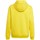 Kleidung Jungen Sweatshirts adidas Originals Entrada 22 Gelb