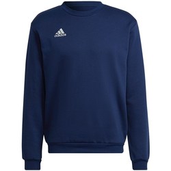 Kleidung Herren Sweatshirts adidas Originals Entrada 22 Sweat Top Marine