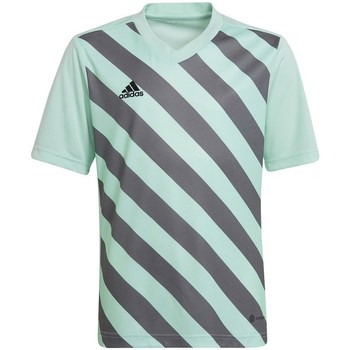Kleidung Jungen T-Shirts adidas Originals Entrada 22 Graphic Jersey Grün, Grau