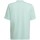 Kleidung Jungen T-Shirts adidas Originals Entrada 22 Graphic Jersey Grau, Grün