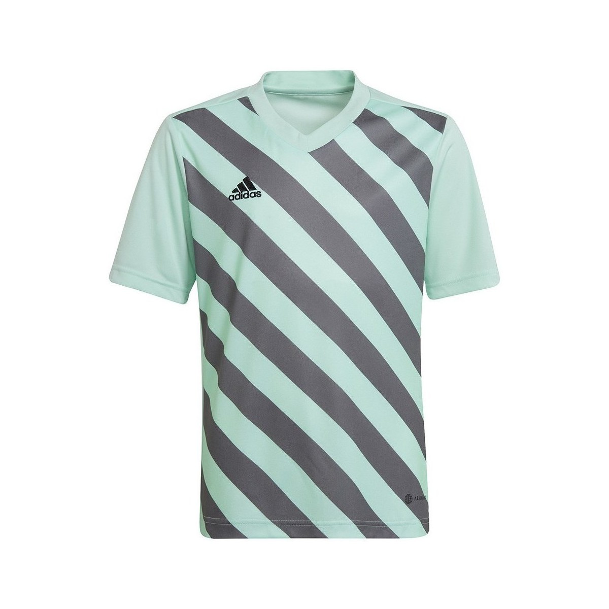 Kleidung Jungen T-Shirts adidas Originals Entrada 22 Graphic Jersey Grau, Grün