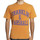 Kleidung Herren T-Shirts Franklin & Marshall T-shirt à manches courtes Orange