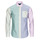 Kleidung Herren Langärmelige Hemden Polo Ralph Lauren Z224SC31-CUBDPPPKS-LONG SLEEVE-SPORT SHIRT Multicolor