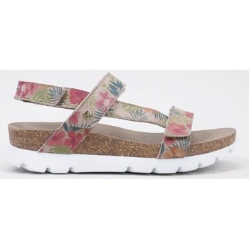 Schuhe Damen Sandalen / Sandaletten Panama Jack Selma Tropical Multicolor