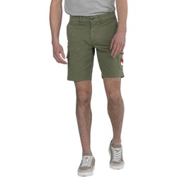 Kleidung Herren Shorts / Bermudas Elpulpo  Grün