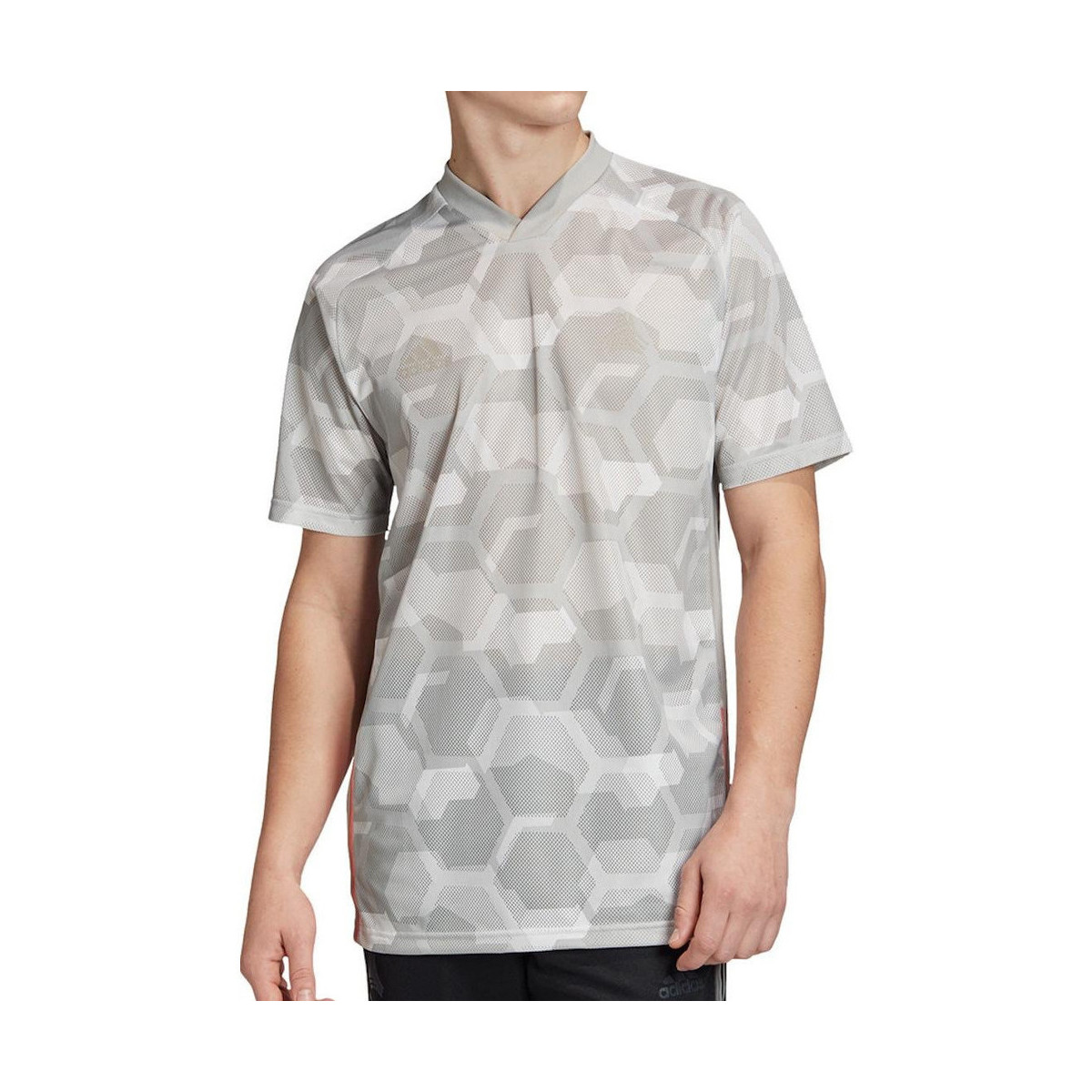 Kleidung Herren T-Shirts & Poloshirts adidas Originals FP7914 Grau