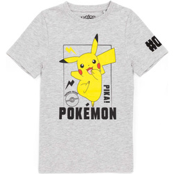 Kleidung Kinder T-Shirts Pokemon  Grau