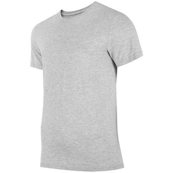 Kleidung Herren T-Shirts 4F TSM352 Grau