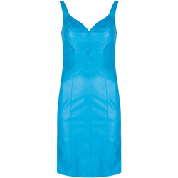 Kleidung Damen Kurze Kleider Pinko 1G160W 7105 | Pudico Abito Blau