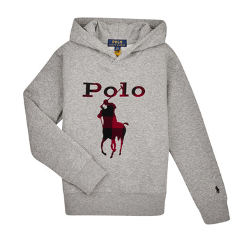 Kleidung Jungen Sweatshirts Polo Ralph Lauren 323883104002 Grau