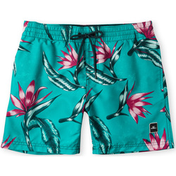 Kleidung Jungen Shorts / Bermudas O'neill Short enfant  Print Blau