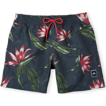 Kleidung Jungen Shorts / Bermudas O'neill Short enfant  Print Grau