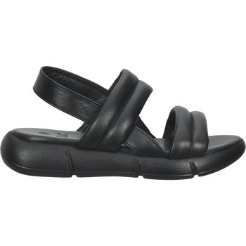 Schuhe Damen Sandalen / Sandaletten Ilc C45-3701 Sandalen Schwarz