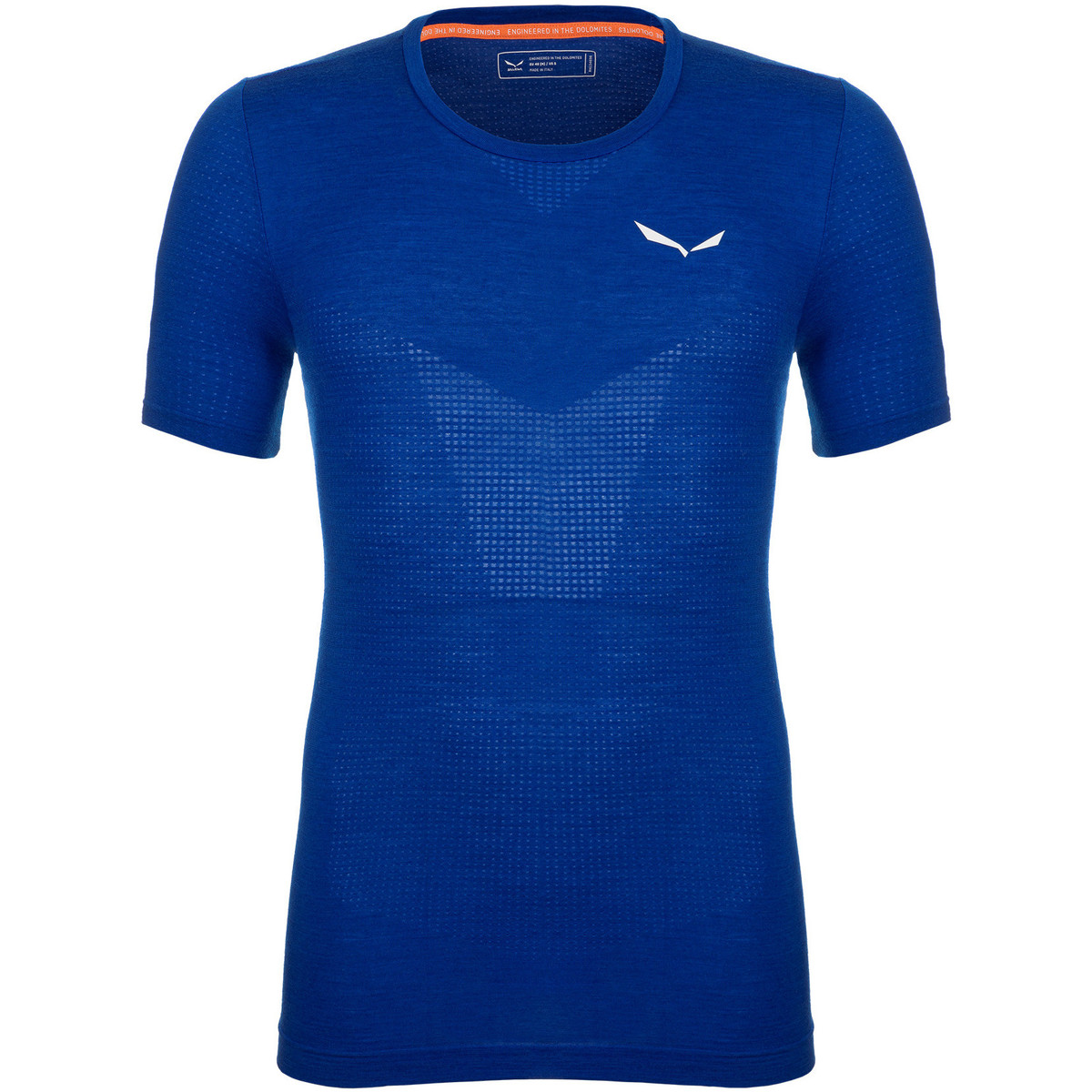 Kleidung Herren T-Shirts & Poloshirts Salewa Pedroc Merino Responsive Seamless T-Shirt 28320-8620 Blau