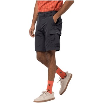 Kleidung Herren Shorts / Bermudas Jack Wolfskin Sport CANYON CARGO SHORTS 1504201-6168 Grau