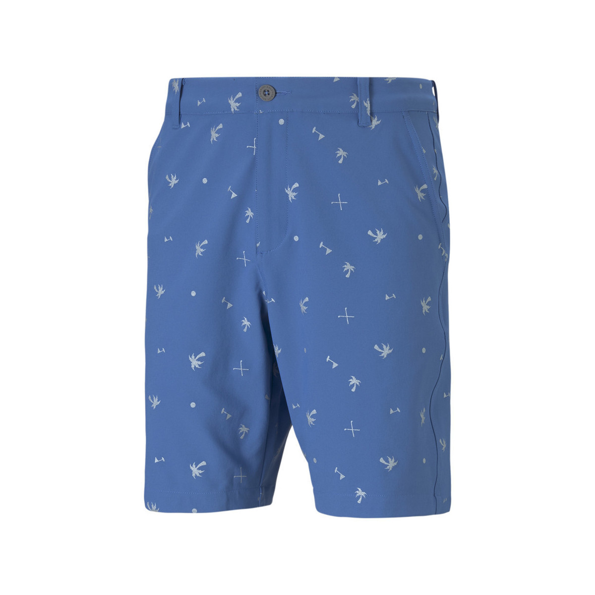 Kleidung Herren Shorts / Bermudas Puma 599239-01 Blau