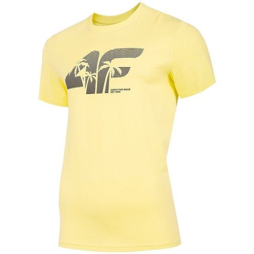Kleidung Herren T-Shirts 4F TSM042 Gelb