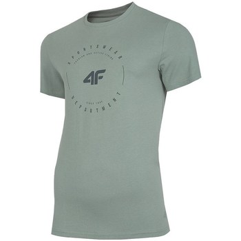 Kleidung Herren T-Shirts 4F TSM029 Grau