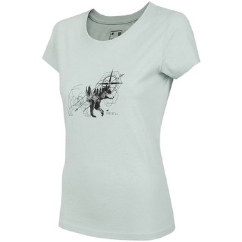 Kleidung Damen T-Shirts 4F TSD067 Grau