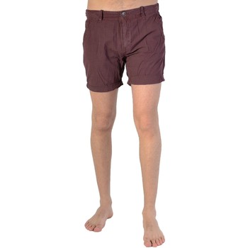 Kleidung Jungen Shorts / Bermudas Petrol Industries 76877 Braun