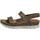 Schuhe Damen Sandalen / Sandaletten Panama Jack Sandaletten selma tropical b1 Multicolor