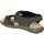 Schuhe Herren Sandalen / Sandaletten Palmipao-Aclys Be Fly Flow S120-05-03 Braun