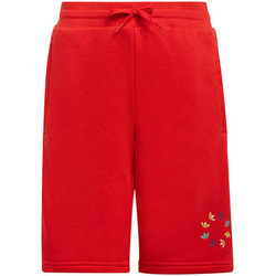 Kleidung Kinder Shorts / Bermudas adidas Originals HE6834 Rot