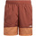 Kleidung Herren Shorts / Bermudas adidas Originals GN3838 Braun