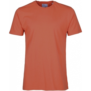 Kleidung T-Shirts & Poloshirts Colorful Standard T-shirt  Classic Organic dark amber Rot