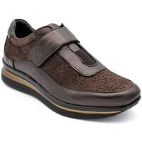 Schuhe Damen Derby-Schuhe & Richelieu Lorens Shoes 15704 Braun