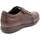 Schuhe Damen Derby-Schuhe & Richelieu Pitillos 2117 Braun