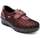 Schuhe Damen Derby-Schuhe & Richelieu G Comfort 7993 Bordeaux
