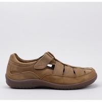 Schuhe Herren Sandalen / Sandaletten Panama Jack  Braun