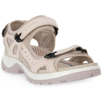 Schuhe Damen Sandalen / Sandaletten Ecco OFFROAD LIMSTONE Grau