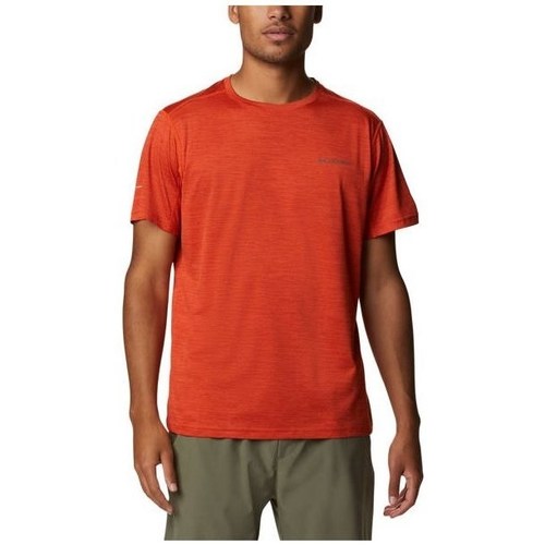 Kleidung Herren T-Shirts Columbia Alpine Chill Zero Rot