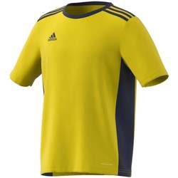 Kleidung Jungen T-Shirts adidas Originals Entrada 18 Schwarz, Gelb